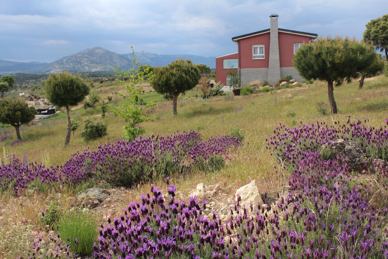 Finca El Enebro Valdemorillo Екстер'єр фото